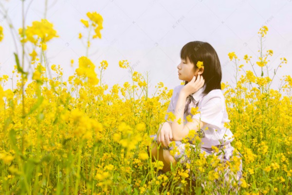 白茶中的青春密码：揭秘白茶如何焕发身体活力